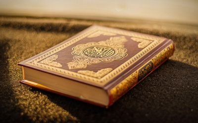 malik-shibly-lKbz2ejxYbA-unsplash
