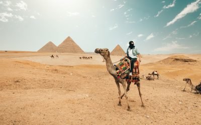 spencer-davis-6UWwgpC4n6Y-unsplash spencer-davis-6UWwgpC4n6Y-unsplash